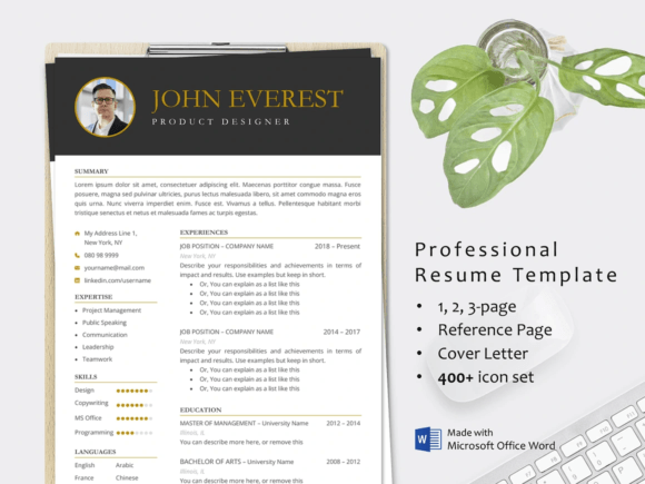 Download Professional CV Resume Template Word - Resume template Collection